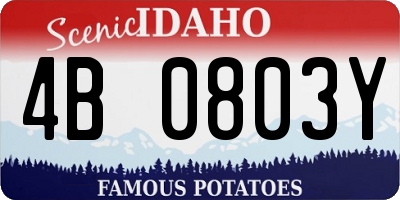 ID license plate 4B0803Y