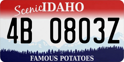 ID license plate 4B0803Z