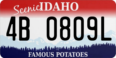 ID license plate 4B0809L