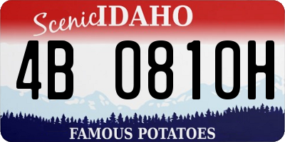 ID license plate 4B0810H