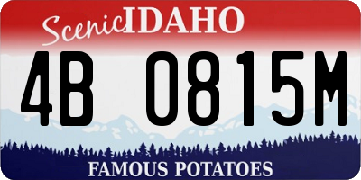 ID license plate 4B0815M
