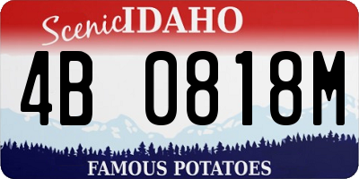 ID license plate 4B0818M