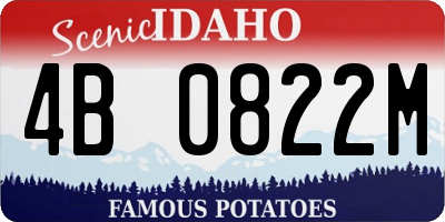 ID license plate 4B0822M