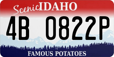 ID license plate 4B0822P
