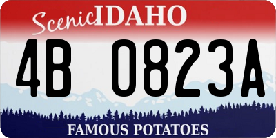 ID license plate 4B0823A