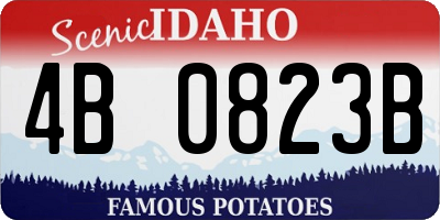 ID license plate 4B0823B