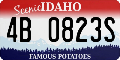 ID license plate 4B0823S