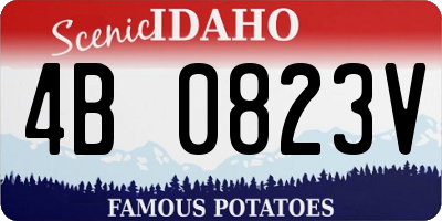 ID license plate 4B0823V
