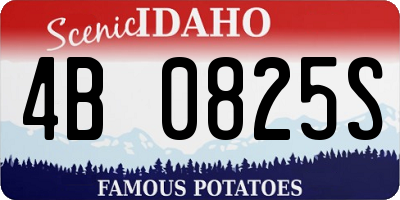 ID license plate 4B0825S