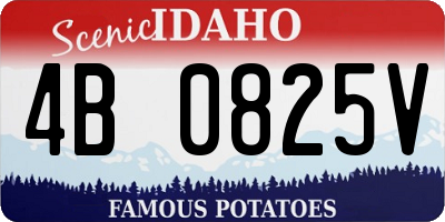 ID license plate 4B0825V
