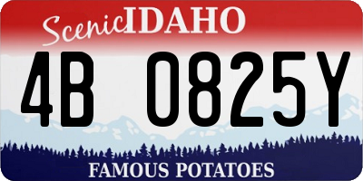 ID license plate 4B0825Y