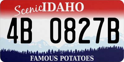 ID license plate 4B0827B