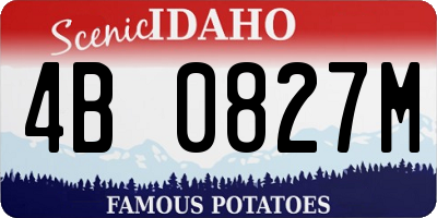 ID license plate 4B0827M