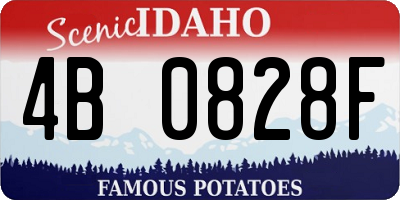 ID license plate 4B0828F