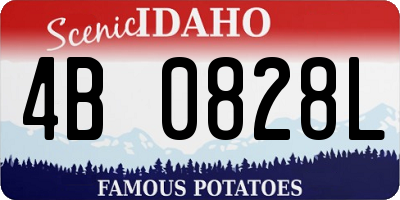 ID license plate 4B0828L