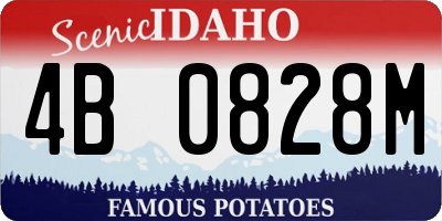 ID license plate 4B0828M