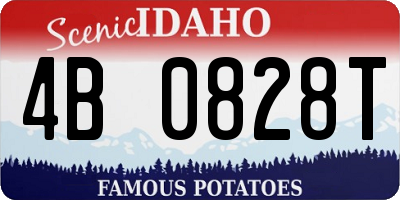 ID license plate 4B0828T