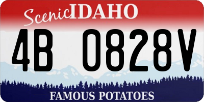 ID license plate 4B0828V