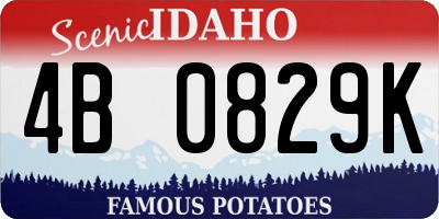 ID license plate 4B0829K