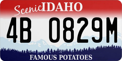 ID license plate 4B0829M