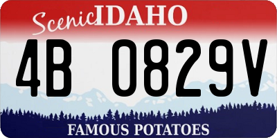 ID license plate 4B0829V