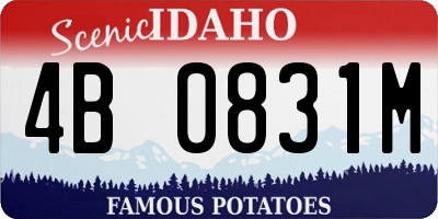 ID license plate 4B0831M