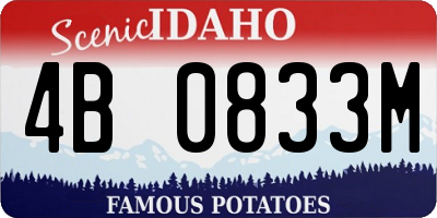 ID license plate 4B0833M
