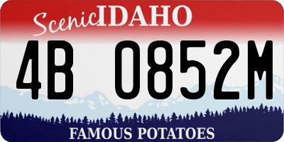 ID license plate 4B0852M