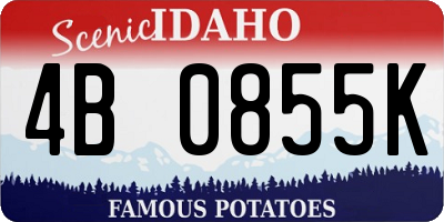 ID license plate 4B0855K