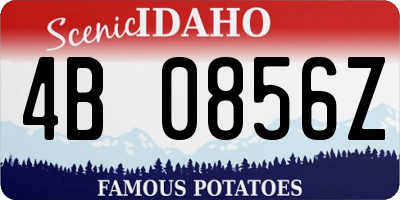 ID license plate 4B0856Z