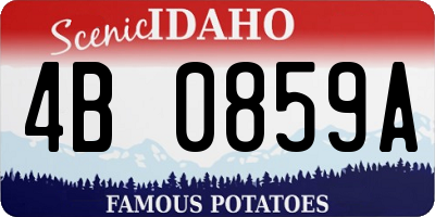 ID license plate 4B0859A