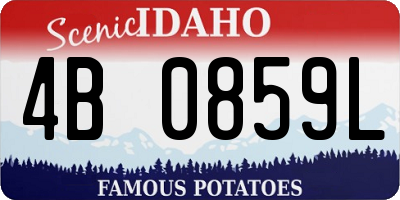 ID license plate 4B0859L
