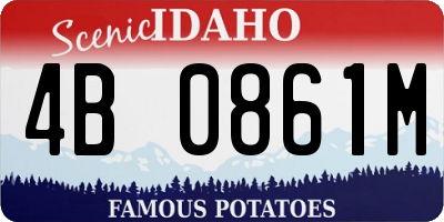 ID license plate 4B0861M
