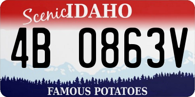 ID license plate 4B0863V