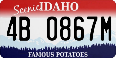 ID license plate 4B0867M