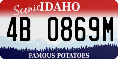 ID license plate 4B0869M