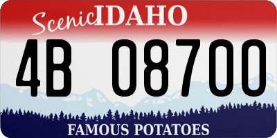 ID license plate 4B0870O