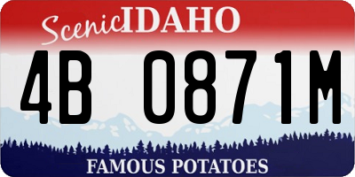 ID license plate 4B0871M