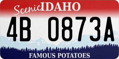 ID license plate 4B0873A