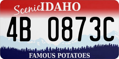 ID license plate 4B0873C