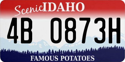 ID license plate 4B0873H