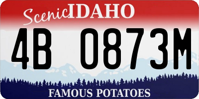 ID license plate 4B0873M