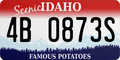 ID license plate 4B0873S