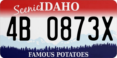 ID license plate 4B0873X
