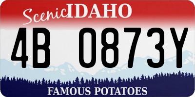 ID license plate 4B0873Y
