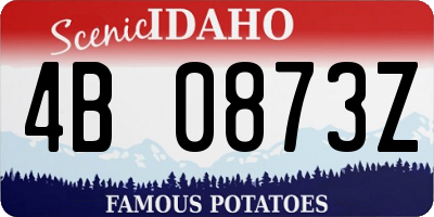 ID license plate 4B0873Z