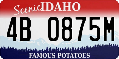 ID license plate 4B0875M