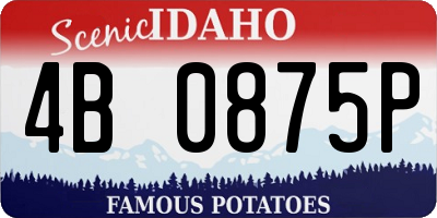 ID license plate 4B0875P