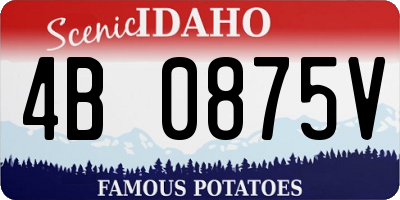 ID license plate 4B0875V