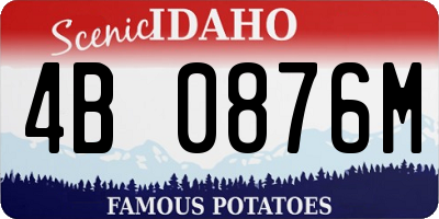 ID license plate 4B0876M